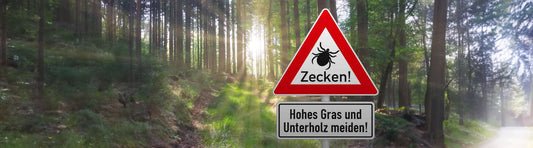 Zecken