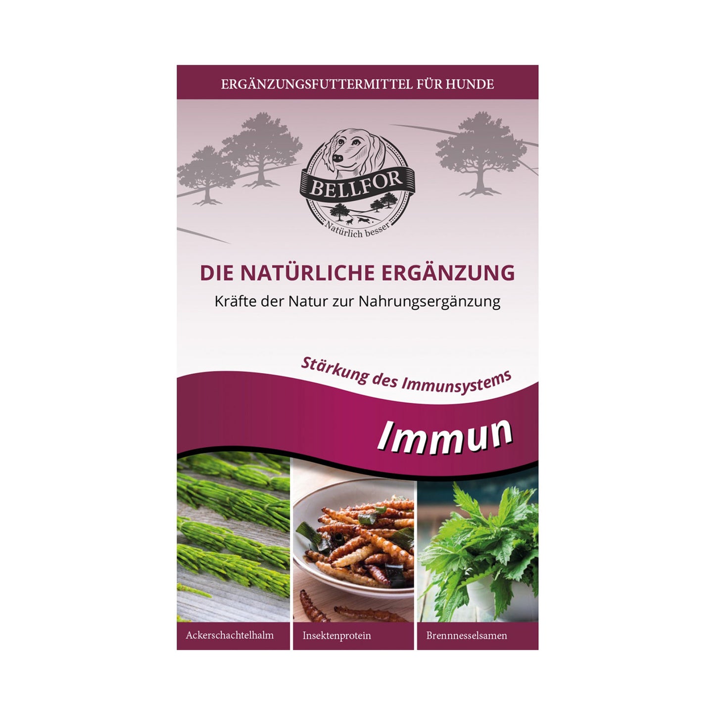 Bellfor Immun Kekse - Zur Stärkung des Immunsystems