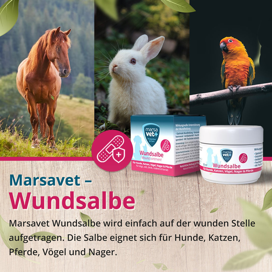 Marsavet Wundsalbe für Hunde Katzen Vögel Nager Pferde - 30ml