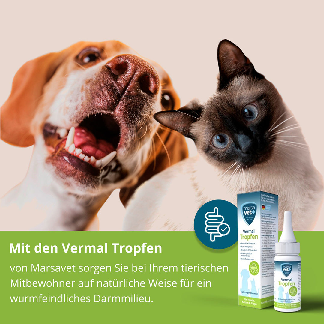 Marsavet Vermal Tropfen für Hunde Katzen Nager - 50ml