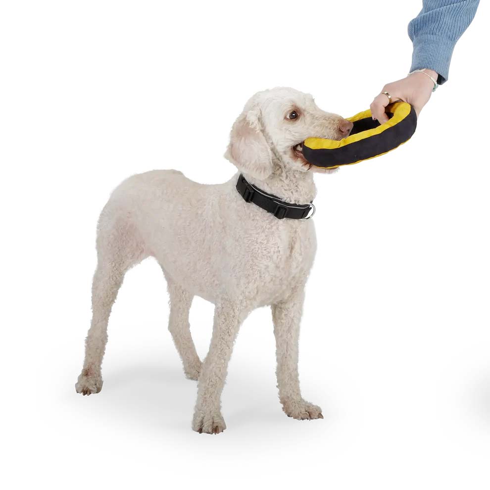 Redoggo Donut - Hundespielzeug