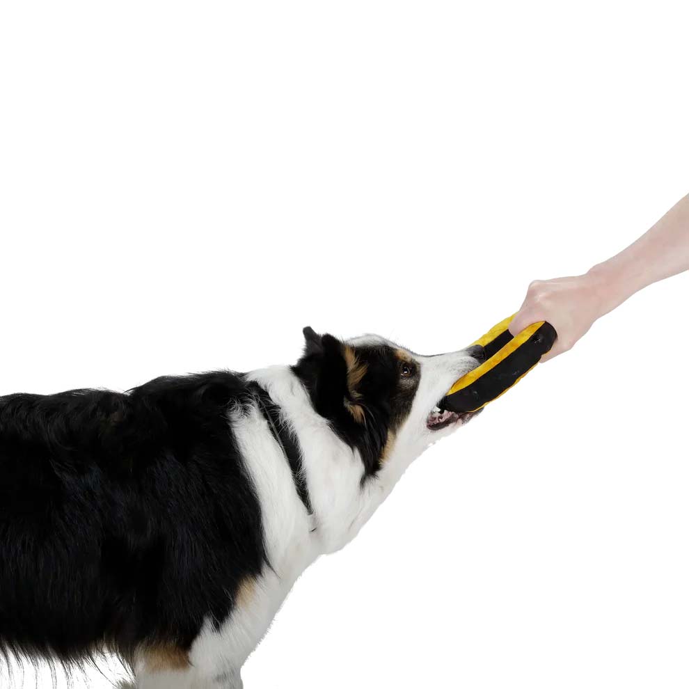 Redoggo Donut - Hundespielzeug
