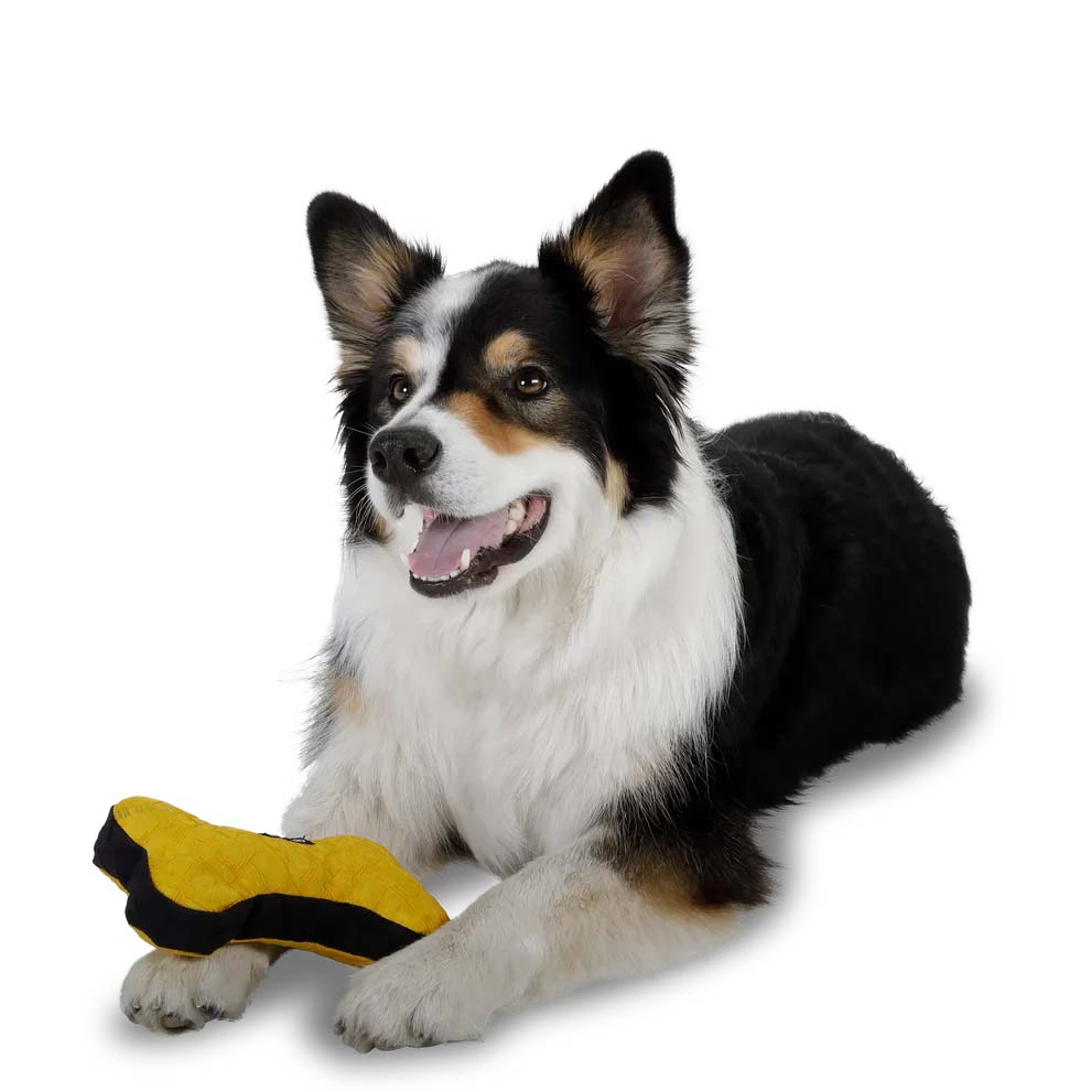 Redoggo Knochen - Hundespielzeug