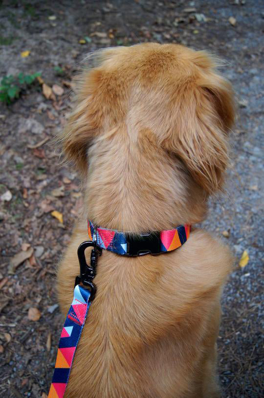 Hundehalsband Everking mehrfarbig rot