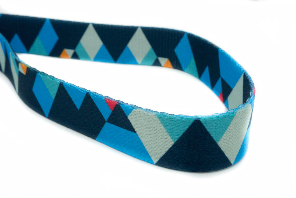 Hundehalsband Everking mehrfarbig blau