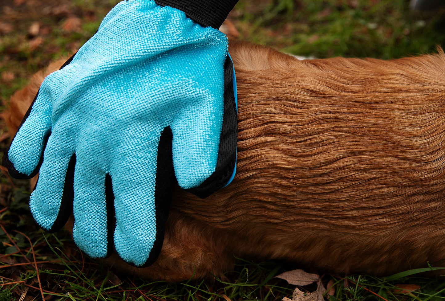 Paar Fellpflege Handschuh zum bürsten Schwarz/Türkis