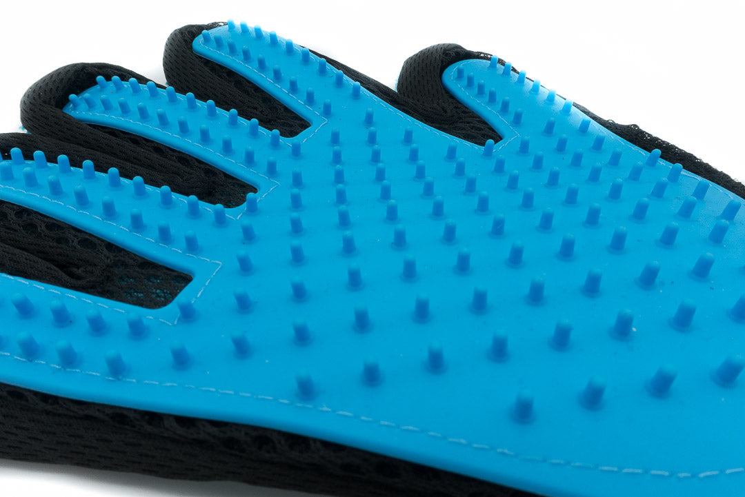 Paar Fellpflege Handschuh zum bürsten Schwarz/Türkis