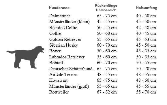 Hundehalsband Everking mehrfarbig blau