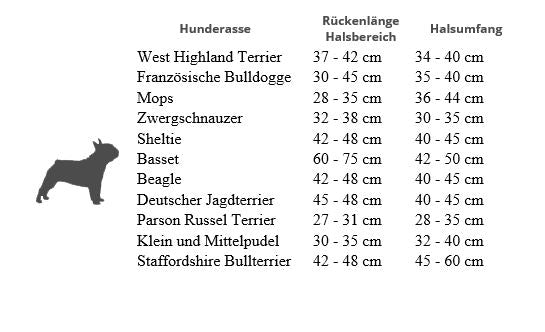Hundehalsband Everking mehrfarbig blau