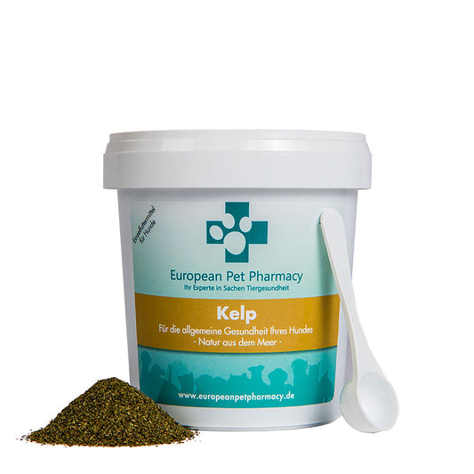Kelp - Für die allgemeine Gesundheit Ihres Hundes