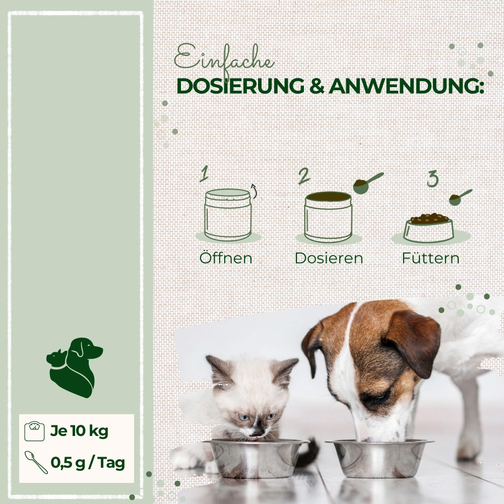 LaPura Grünlippmuschelpulver 250g - für Hunde und Katzen
