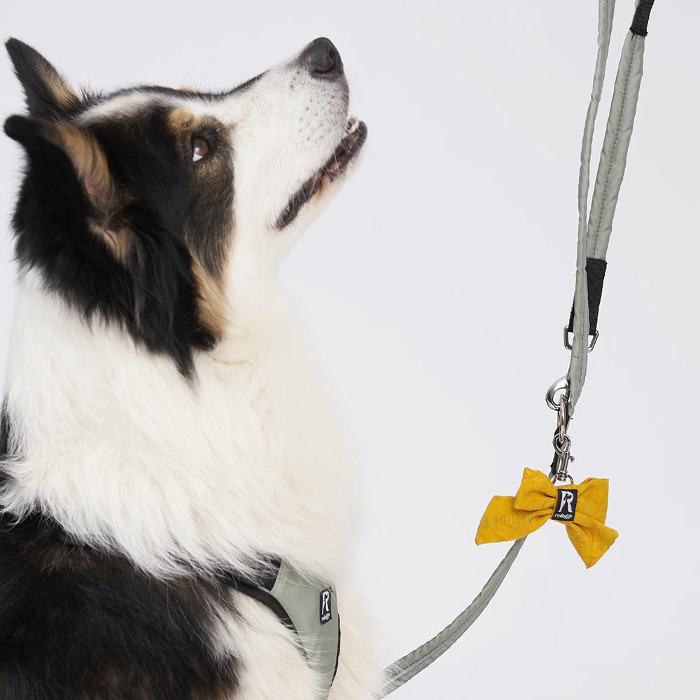 Redoggo Gelbe Schleife