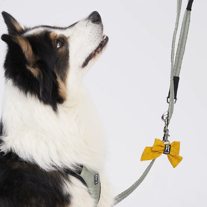 Redoggo Gelbe Schleife