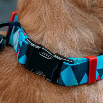 Hundehalsband Everking mehrfarbig blau